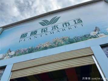 鄢陵县花木产业未必能想到的那些问题
